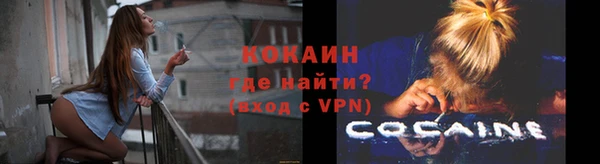 гидра Верея