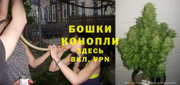 гидра Верея