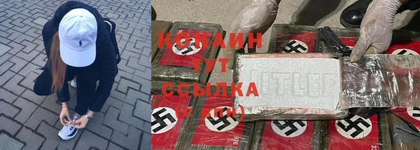 шишки Верхнеуральск
