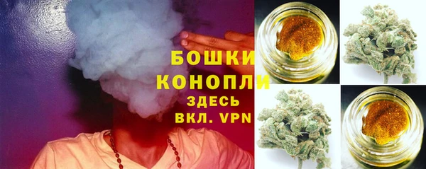 гидра Верея