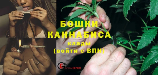 гидра Верея