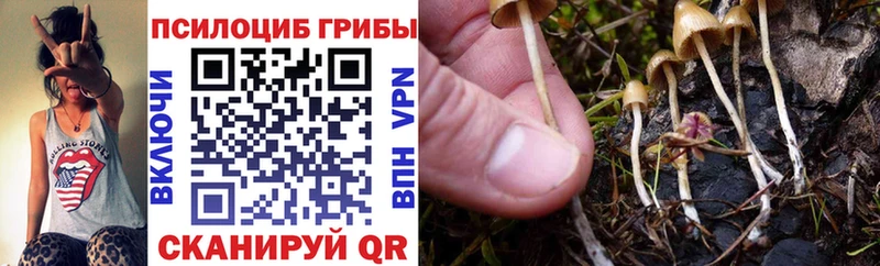 даркнет сайт  Киржач  Галлюциногенные грибы GOLDEN TEACHER 